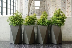Modern & traditional potted plants